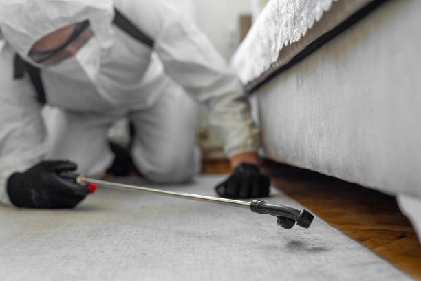 Professional Bed Bug Control technician working in Bull Valley, IL