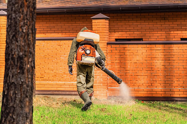 Trusted Termite Control service in Bull Valley, IL - Nex Pest Control